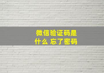 微信验证码是什么 忘了密码